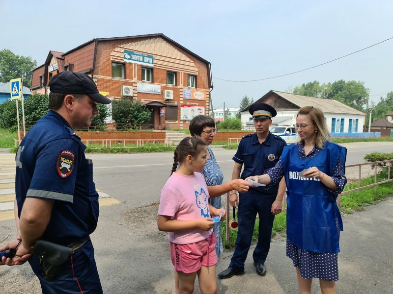 В поселке Серышево прошел десант безопасности дорожного движения